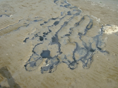 Porenwasseraustritt im Watt